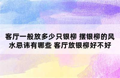 客厅一般放多少只银柳 摆银柳的风水忌讳有哪些 客厅放银柳好不好